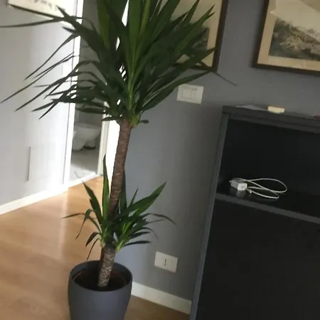 Mansarda Centrale Vista Mare *