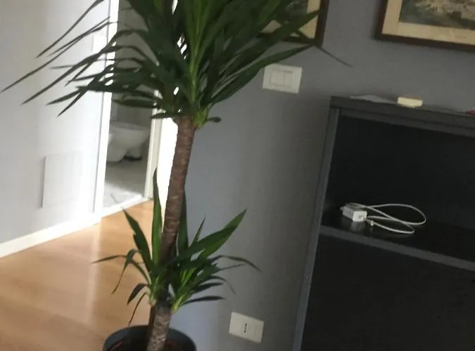 Mansarda Centrale Vista Mare *